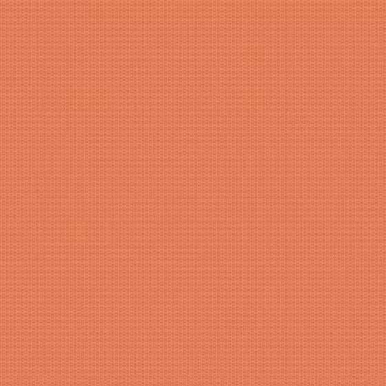 Orchestra Aurore Link