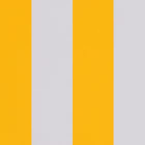 Orchestra Blanc Jaune