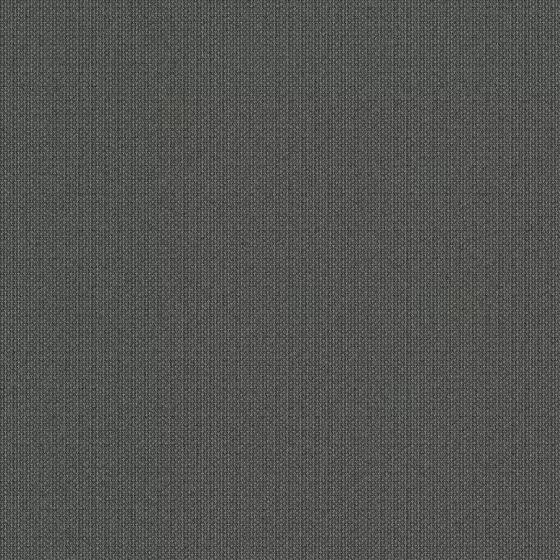 Orchestra Cèdre Piqué