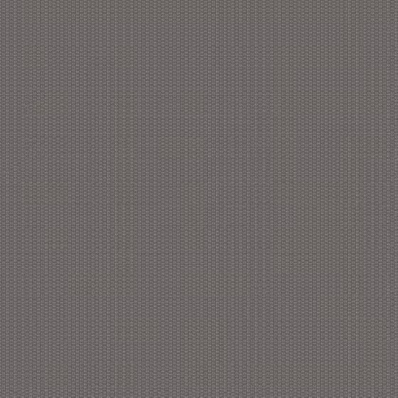 Orchestra Cèpe Link