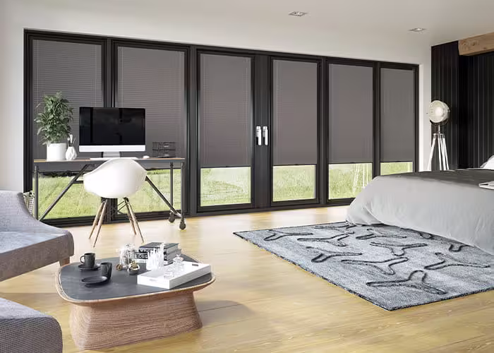 blinds by window type